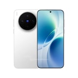 vivo X300s