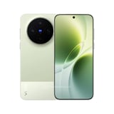 vivo X300s