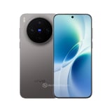 vivo X300s