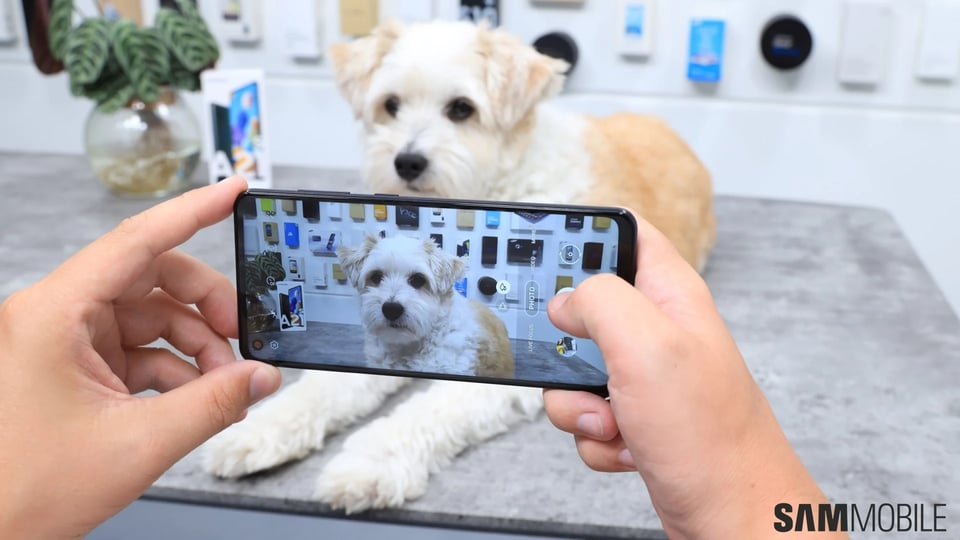 Samsung Galaxy A21s review: Only worth it for outstanding battery life - SamMobile